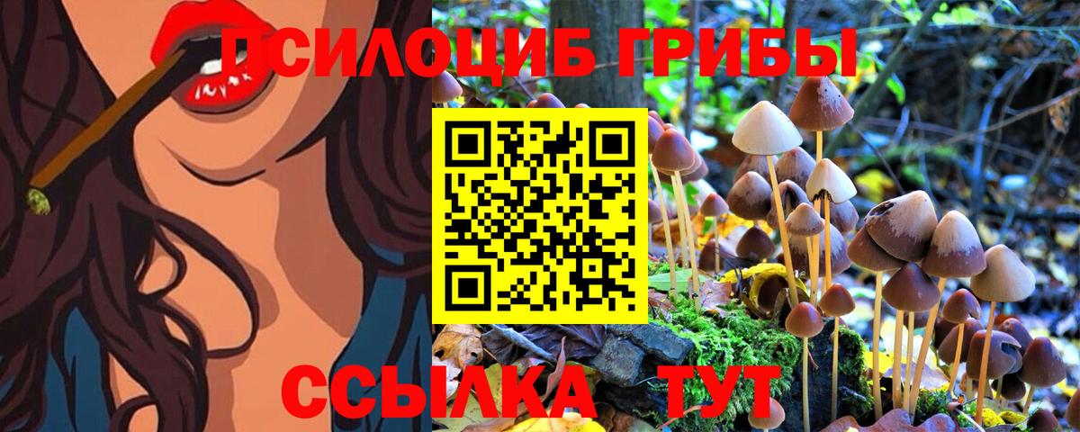 Галлюциногенные грибы MAGIC MUSHROOMS  Вход с VPN  наркота  Рославль 