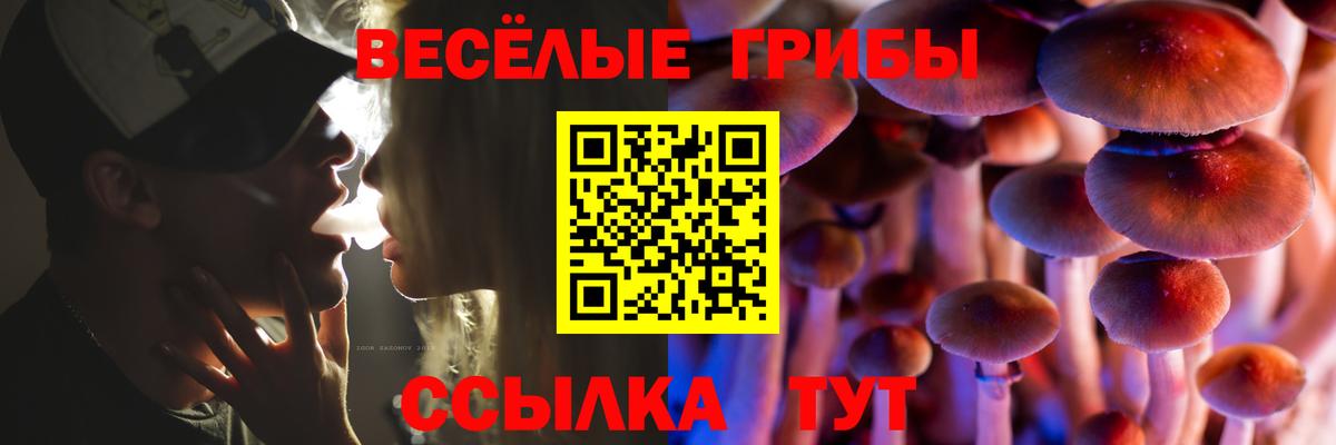 Галлюциногенные грибы Psilocybine cubensis Рославль